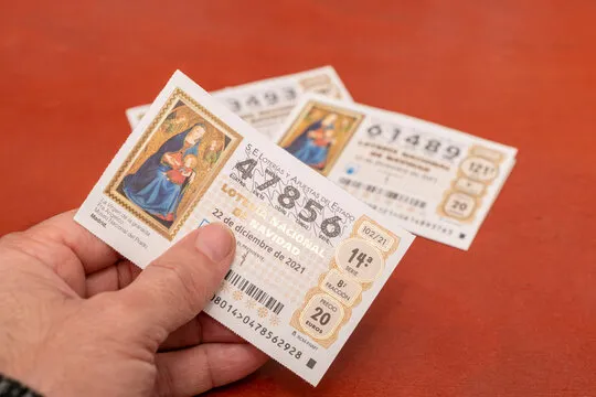 杏鑫娱乐 品牌形象